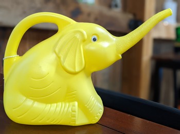 Elephant Watering Can (Yellow)