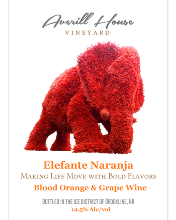 Elefante Naranja