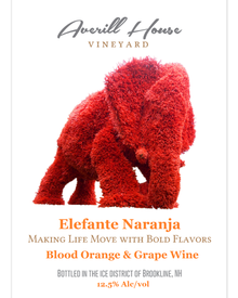 Elefante Naranja